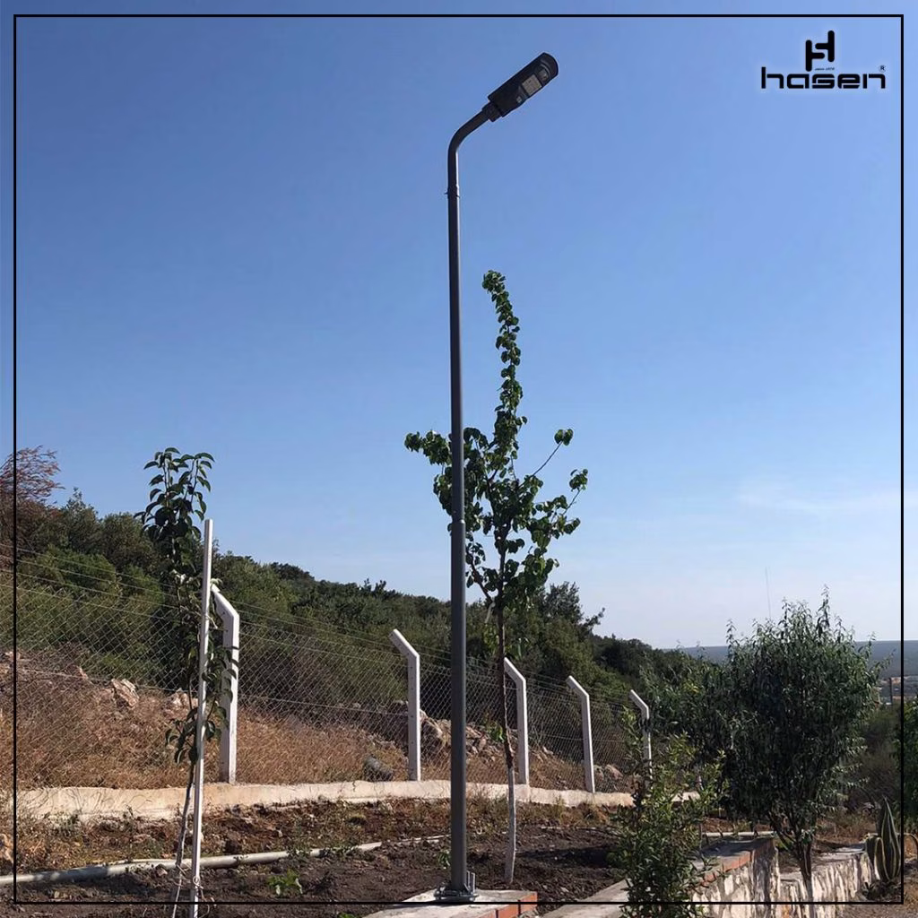 park lighting poles