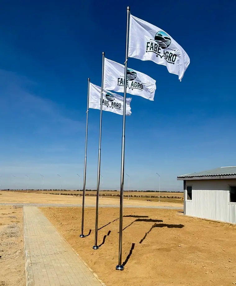 Kazakhstan Fabe Agro Greenhouse Project